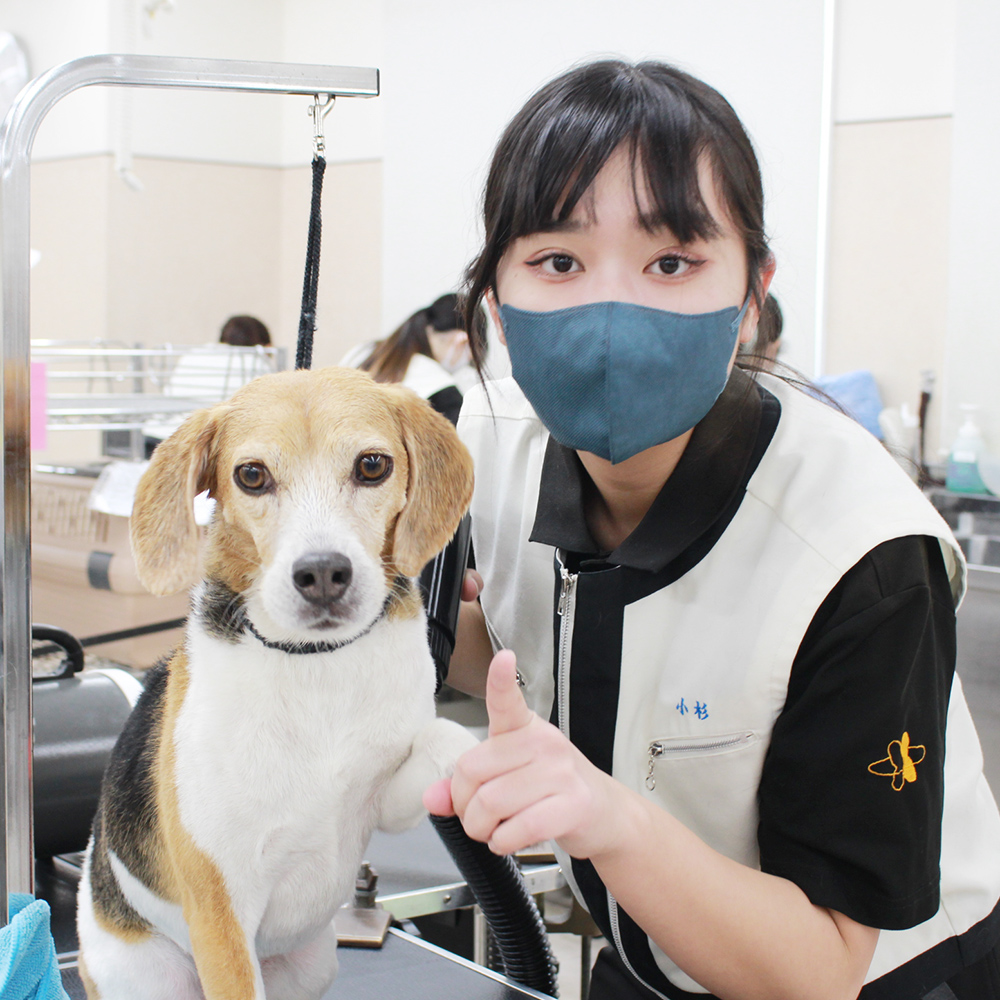 ２年生のトリミング実習♪